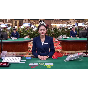 乘马年新风，亚星开启多元业务新征程